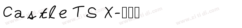 Castle TS X字体转换